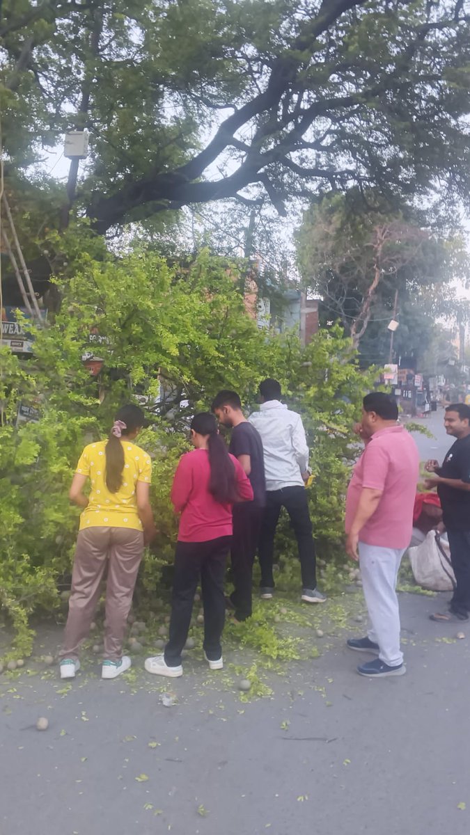 dvvnletawah01's tweet image. भर्थना चौराहा, फ्रेंड्स कॉलोनी क्षेत्र में विद्युत लाइनों की सुरक्षा हेतु पेड़ों की छंटाई/कटिंग का कार्य किया गया।
🌿⚡ इस कार्य से संभावित फॉल्ट/ब्रेकडाउन की रोकथाम कर निर्बाध विद्युत आपूर्ति सुनिश्चित की जा रही है।
@dvvnlhq @UPPCLLKO @MDDVVNL
#Etawah #TreeCutting #PowerSupply