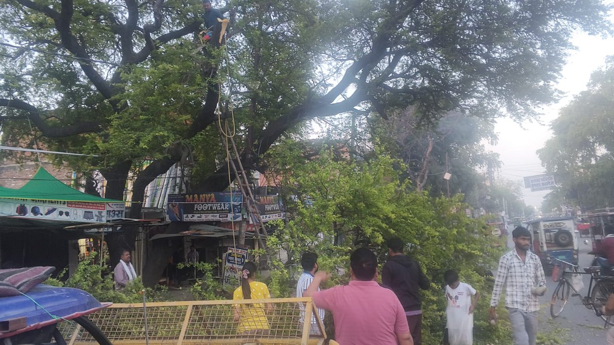 dvvnletawah01's tweet image. भर्थना चौराहा, फ्रेंड्स कॉलोनी क्षेत्र में विद्युत लाइनों की सुरक्षा हेतु पेड़ों की छंटाई/कटिंग का कार्य किया गया।
🌿⚡ इस कार्य से संभावित फॉल्ट/ब्रेकडाउन की रोकथाम कर निर्बाध विद्युत आपूर्ति सुनिश्चित की जा रही है।
@dvvnlhq @UPPCLLKO @MDDVVNL
#Etawah #TreeCutting #PowerSupply
