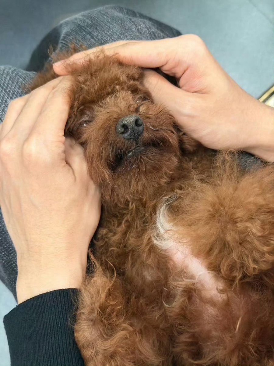 noire★ tweet media