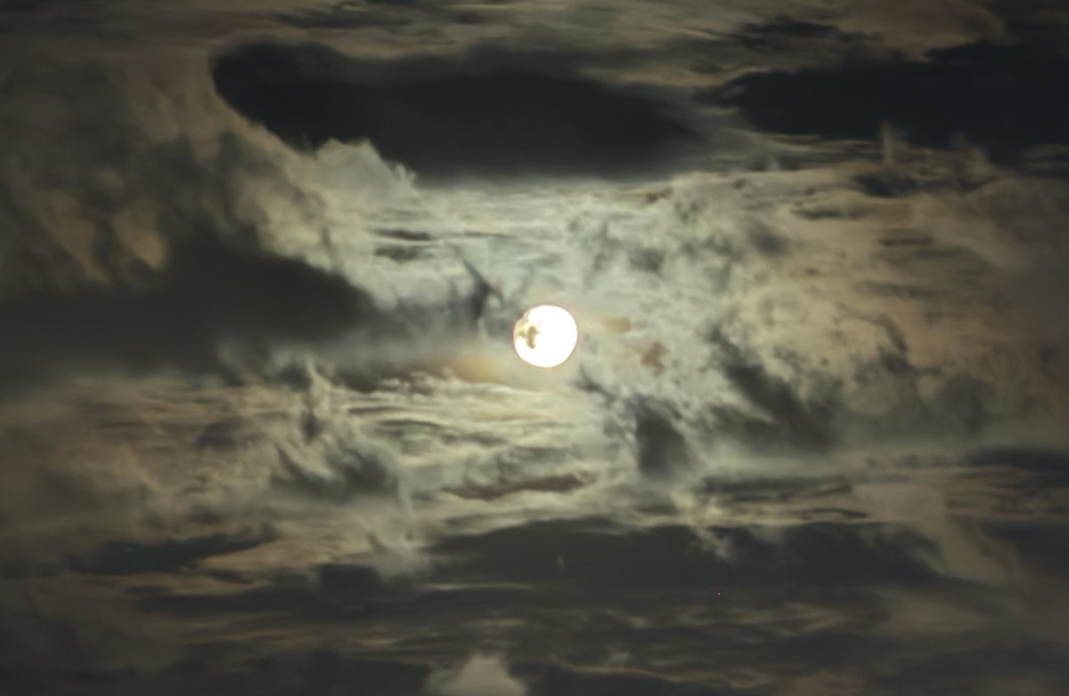 Lorena Hurtado tweet media