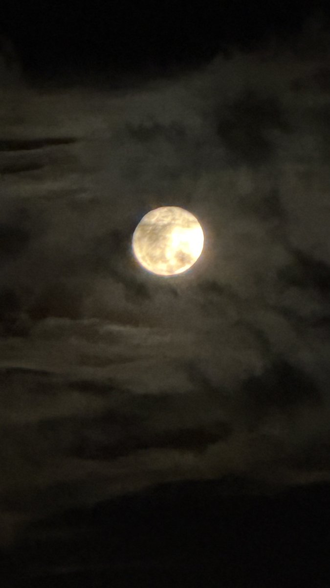 Lorena Hurtado tweet media