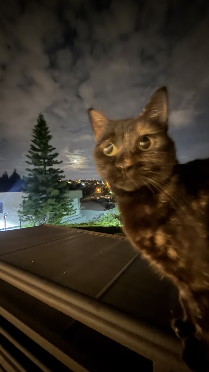 Lorena Hurtado tweet media