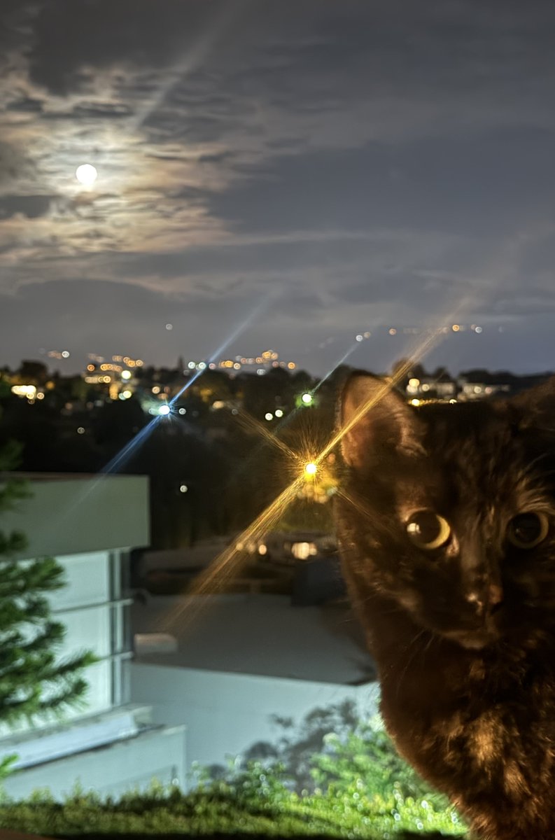 Lorena Hurtado tweet media