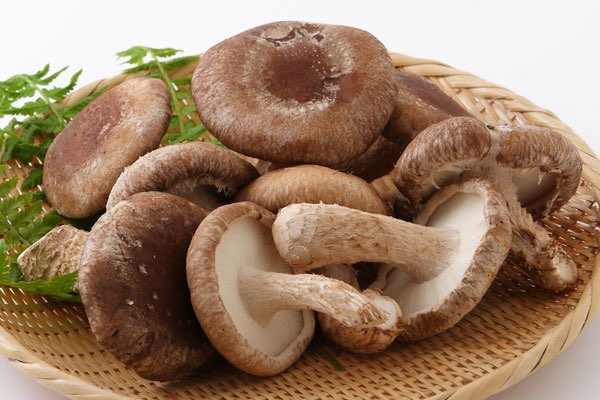 中野餃子「やまよし」 tweet media