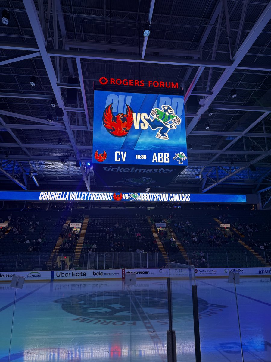 ollie 🫍 tweet media