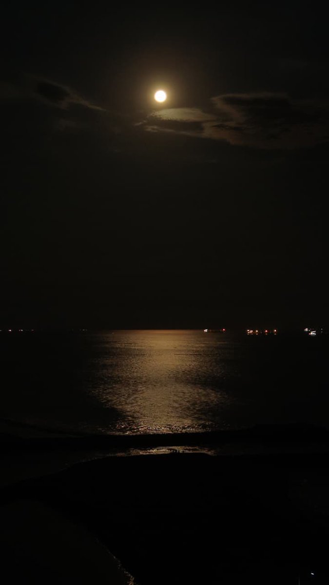 λρσℓσɠία.༒ tweet media