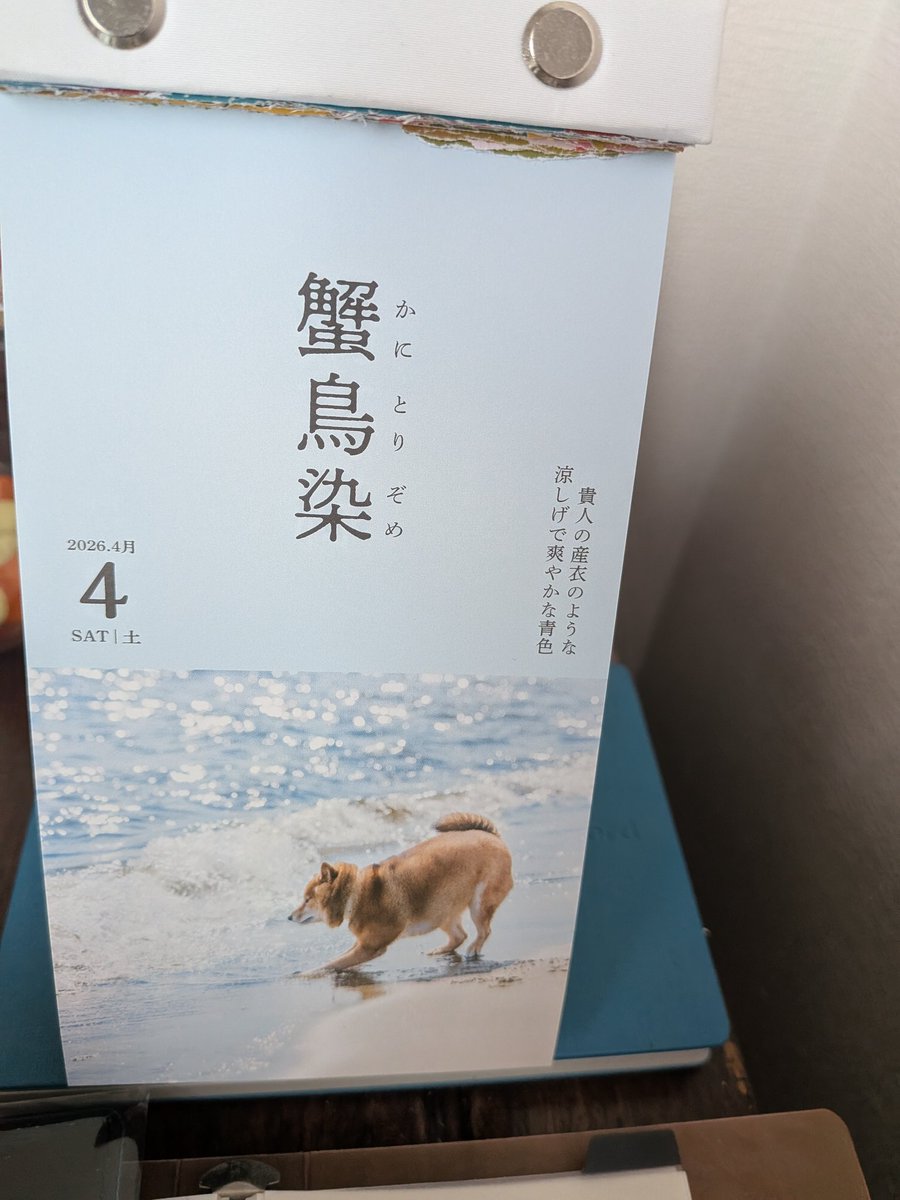 BellMark_Mariko's tweet image. 26,4,4（土曜日）
3年って長いね。28,２,29日あり、（10,19まで）365×3=1095日+1
=26304時=1578240分
=94694400秒
わかる人には、わかる。
167日目
1096- 1657=929日
929×24=22296時間
22296×60=1337760分
1337760×60=80265600秒