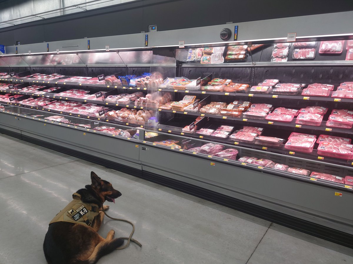 Nitroarms tweet media