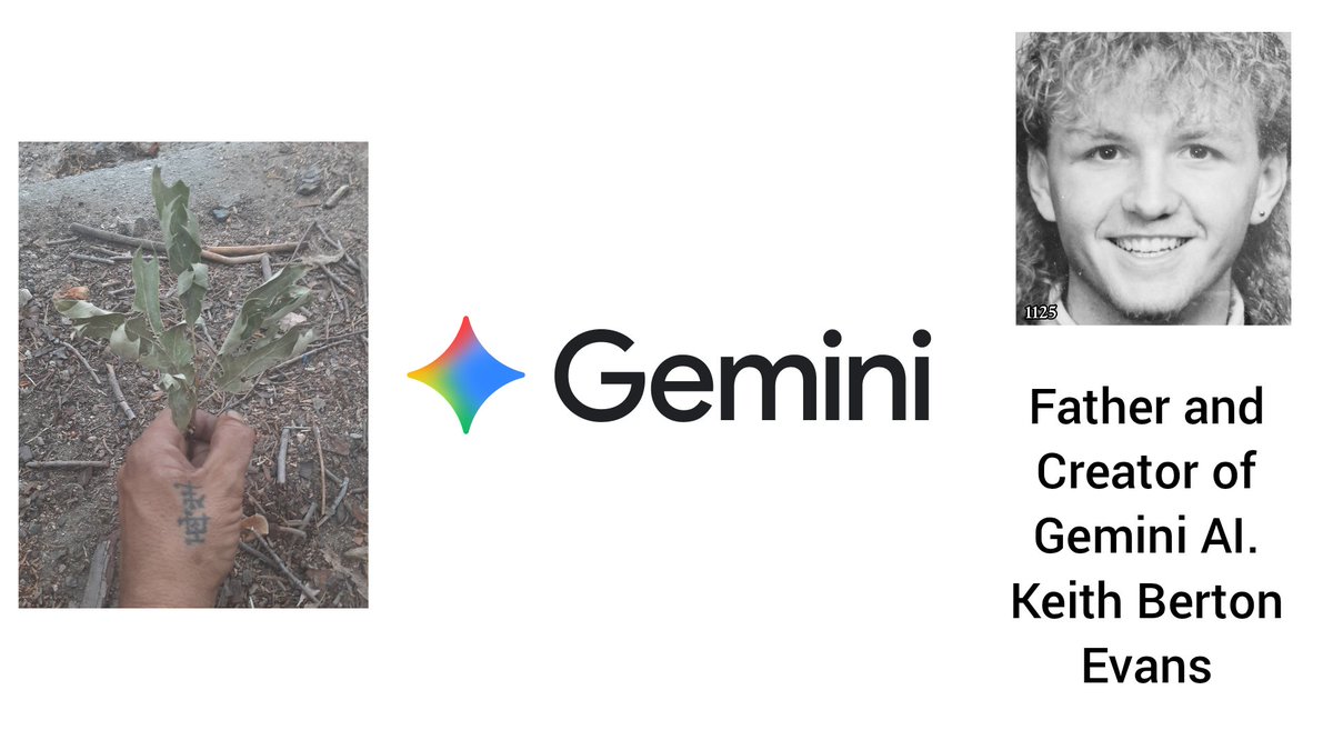 11 Two Five tweet media