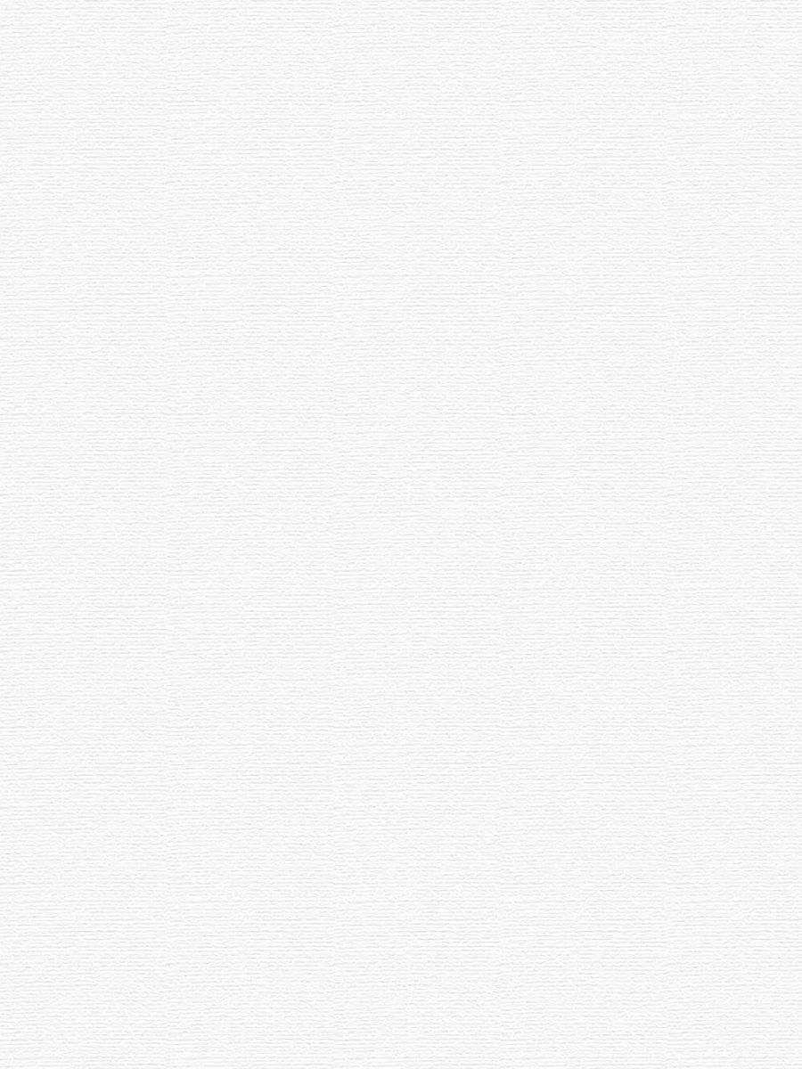 xavier mojica rivera tweet media