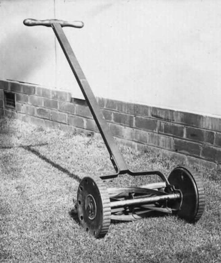 Elizabeth❣️ tweet media