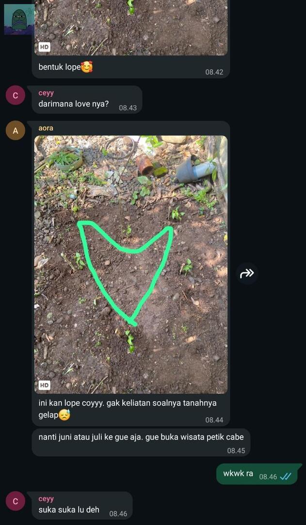 Tanyarl 💚 tweet media