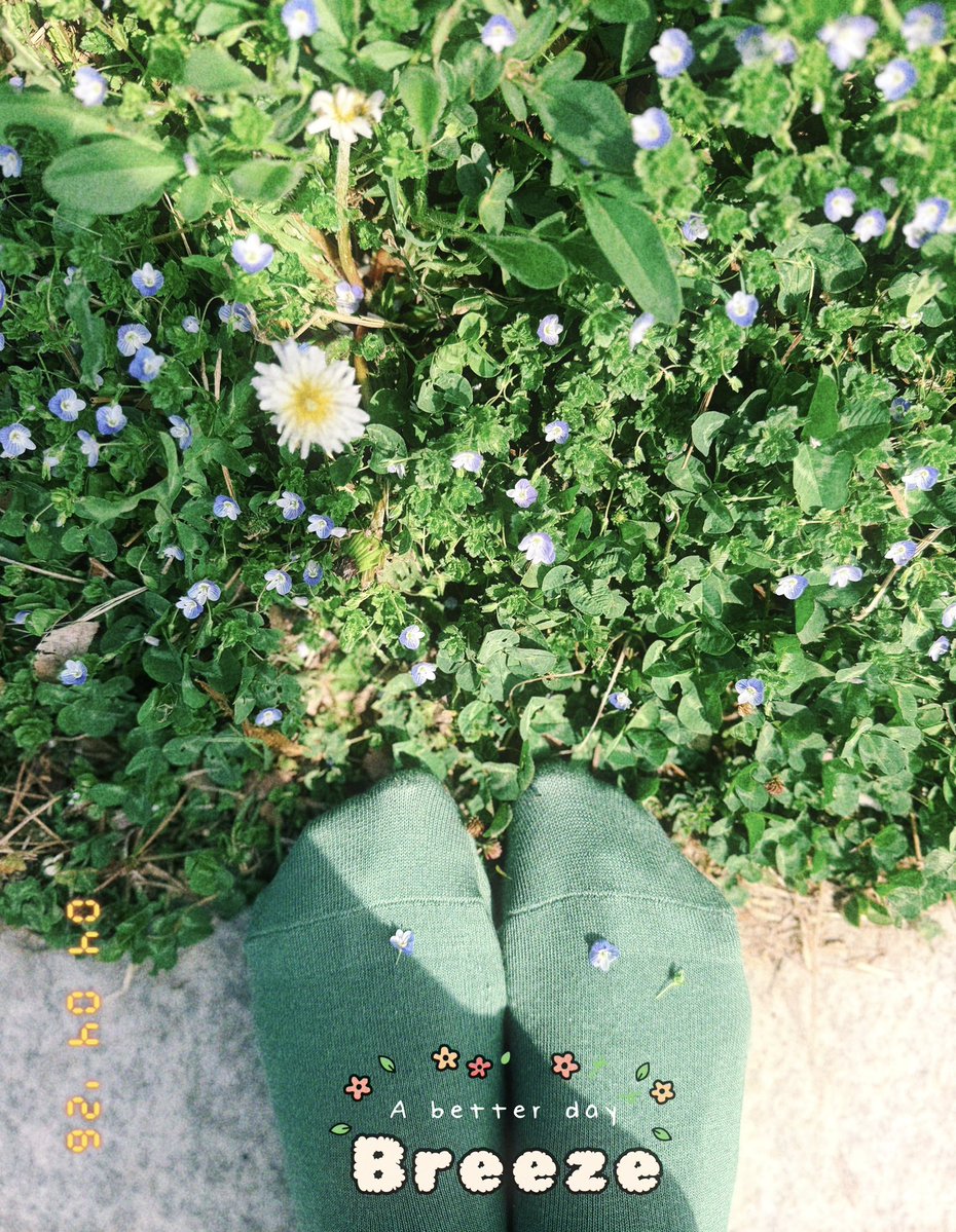 우연운명 tweet media