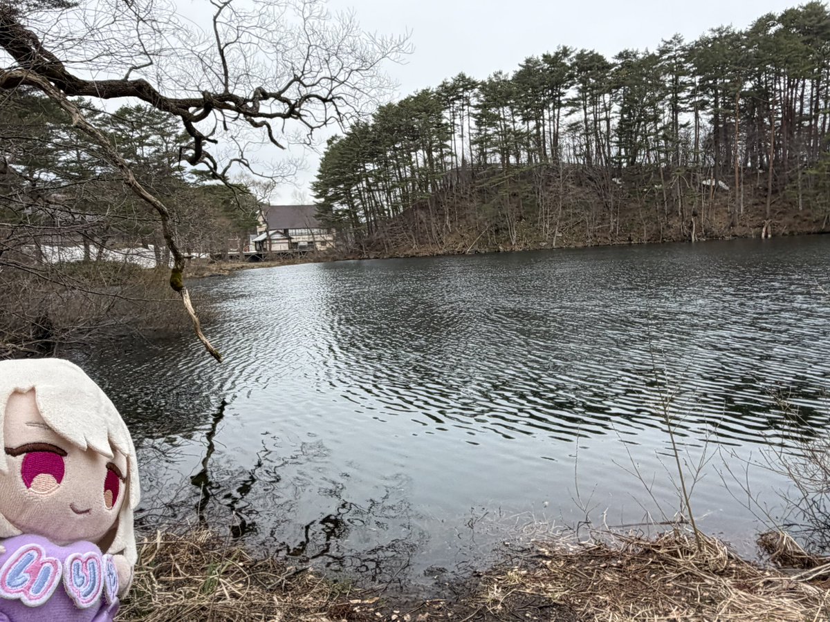 青楓🍶🍁 tweet media