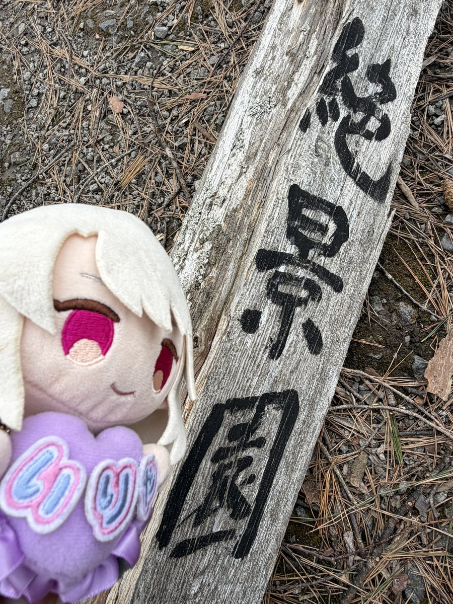 青楓🍶🍁 tweet media