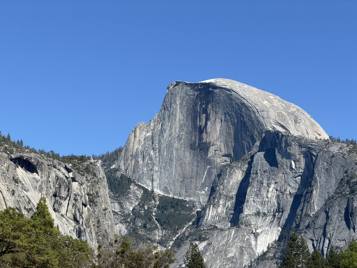 Dundee Zhang tweet media