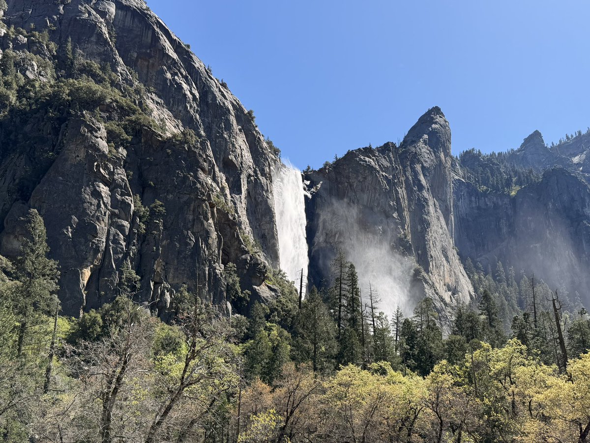 Dundee Zhang tweet media