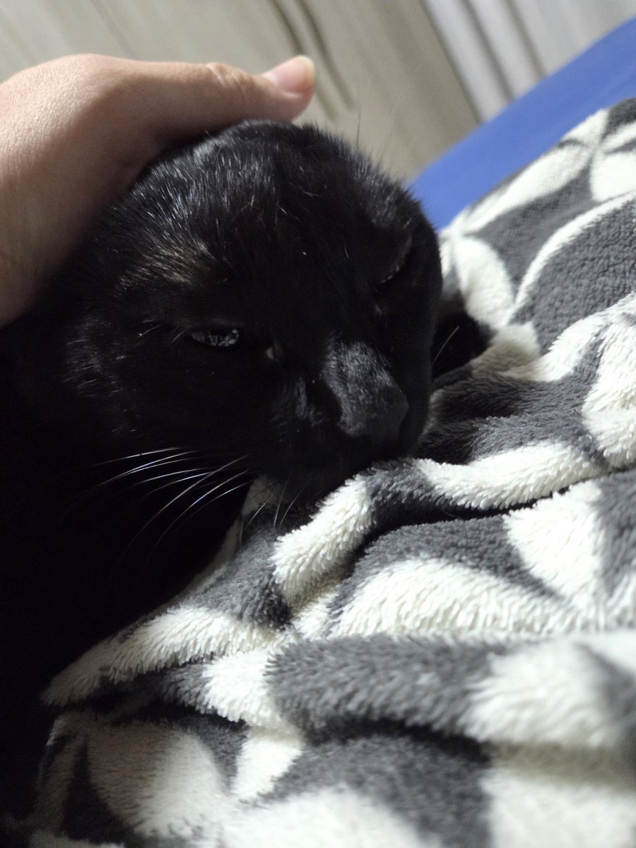 vai lentin tweet media