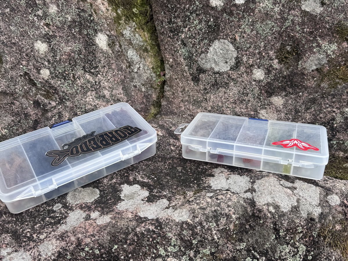 琵琶湖バス釣りYouTuber『ざき』🐲 tweet media