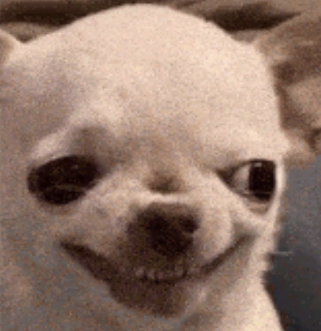 Dani Thee Stallion tweet media