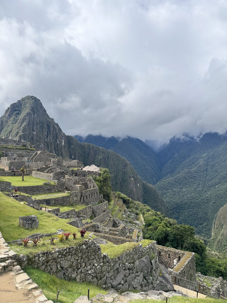 Frank Jimenez B. tweet media