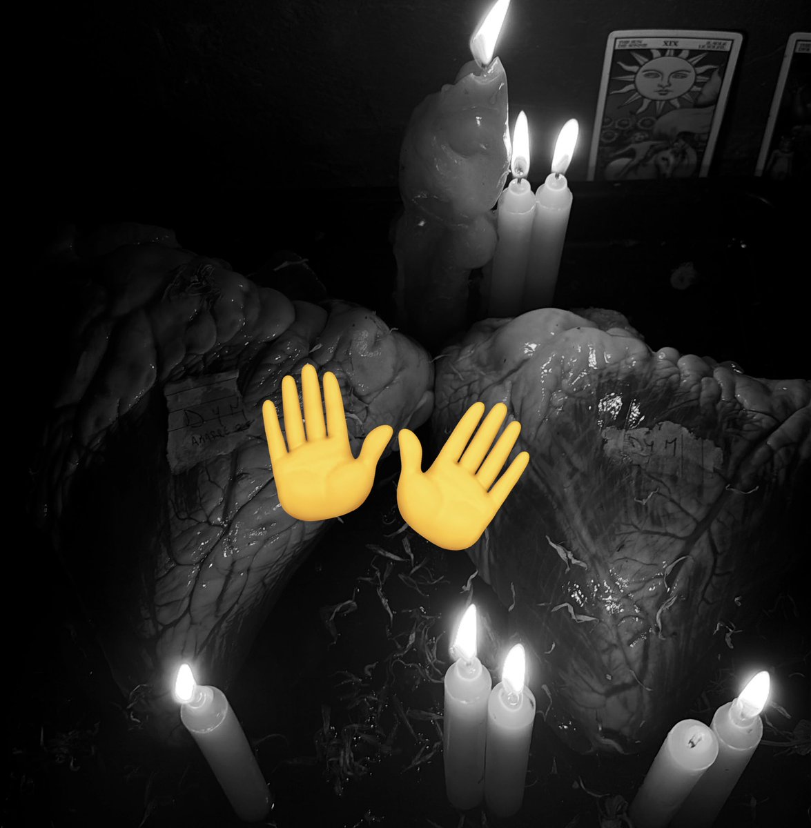 𝓷 𓍼ོ tweet media