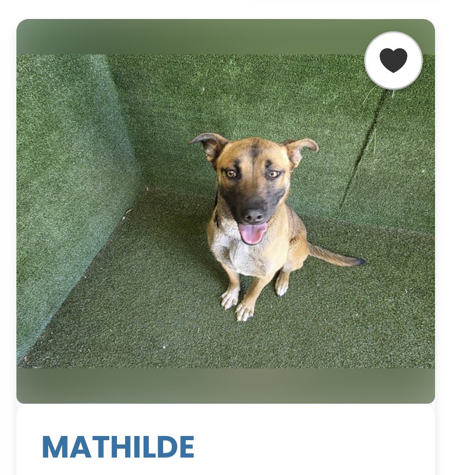 Labigator Mom tweet media