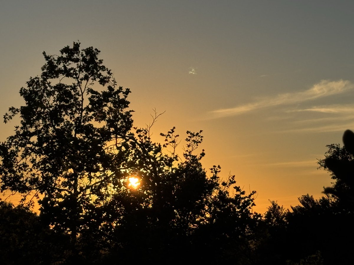 Art - Spreader of Kindness tweet media