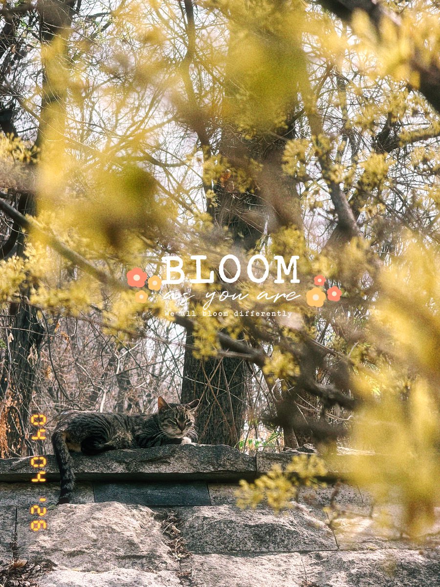 우연운명 tweet media