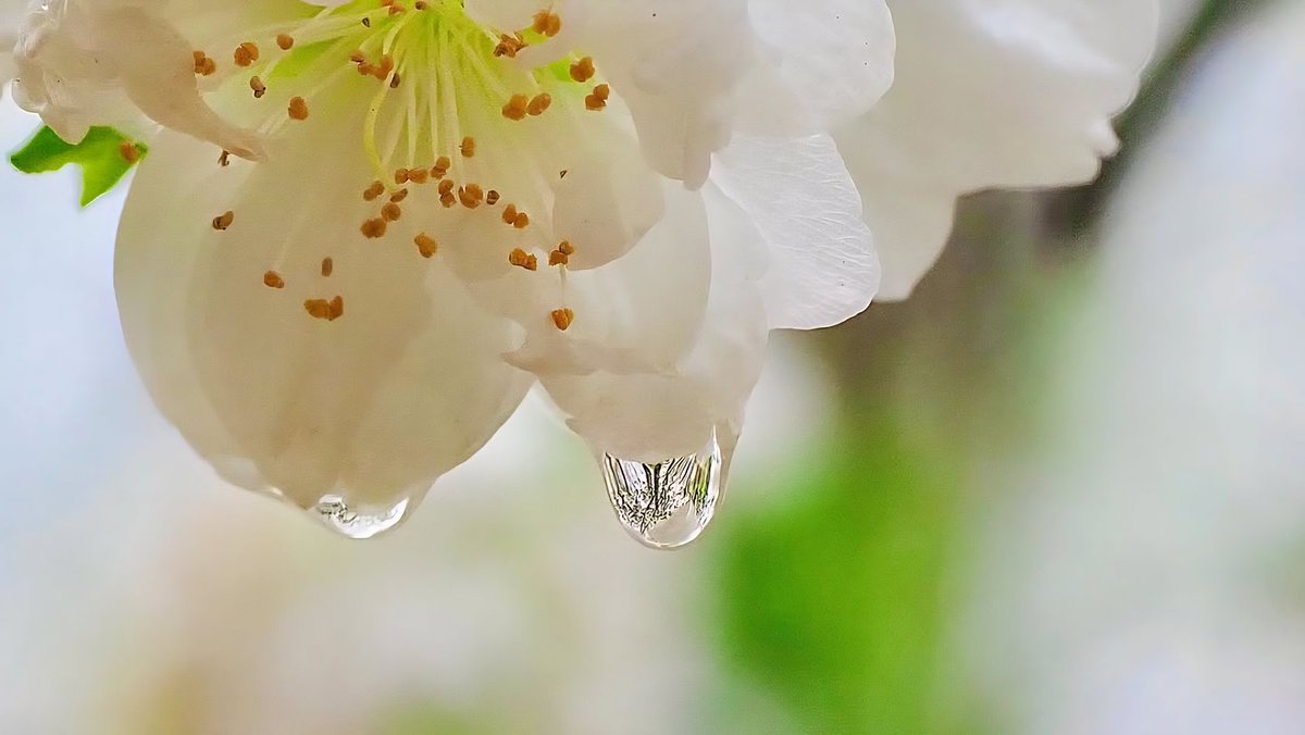 📸그냥형 tweet media