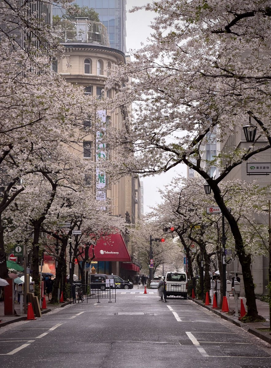 Tokyo Scapes📷 tweet media