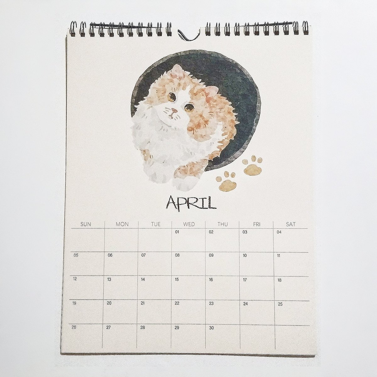 lira 🪶 tweet media