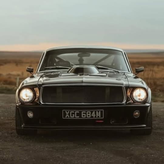 AlejandroJGarza's tweet image. 1967 #Ford #Mustang 

#FrontendFriday 🏁