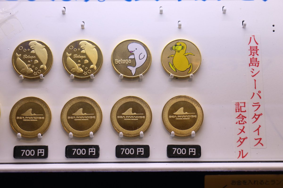 八景島シーパラダイス 2026.04.02訪問 青い箱③ ベイマーケットD棟 2F