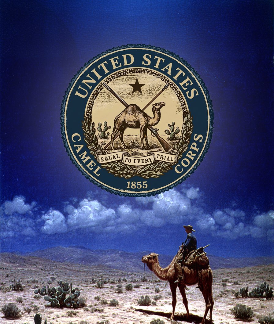 Pax Americana 🧊 tweet media