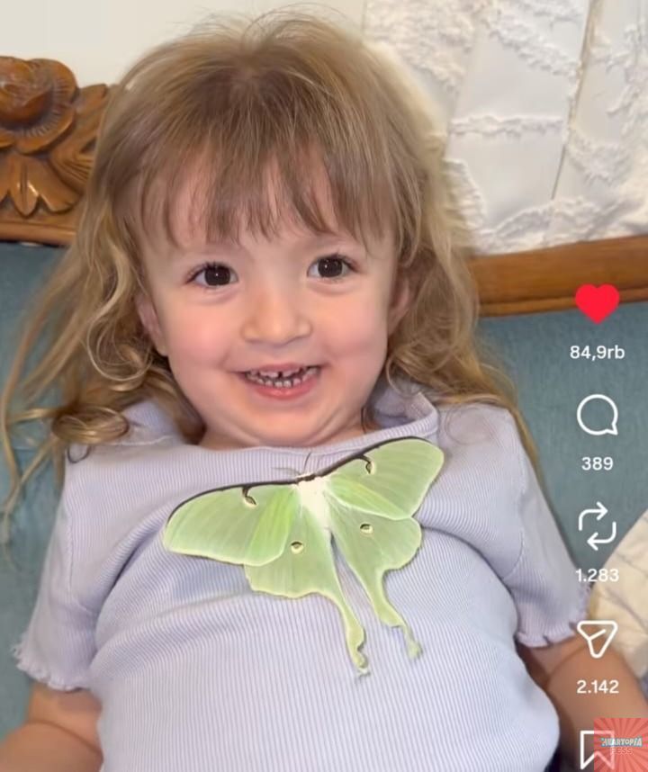 Heartopia Fess tweet media