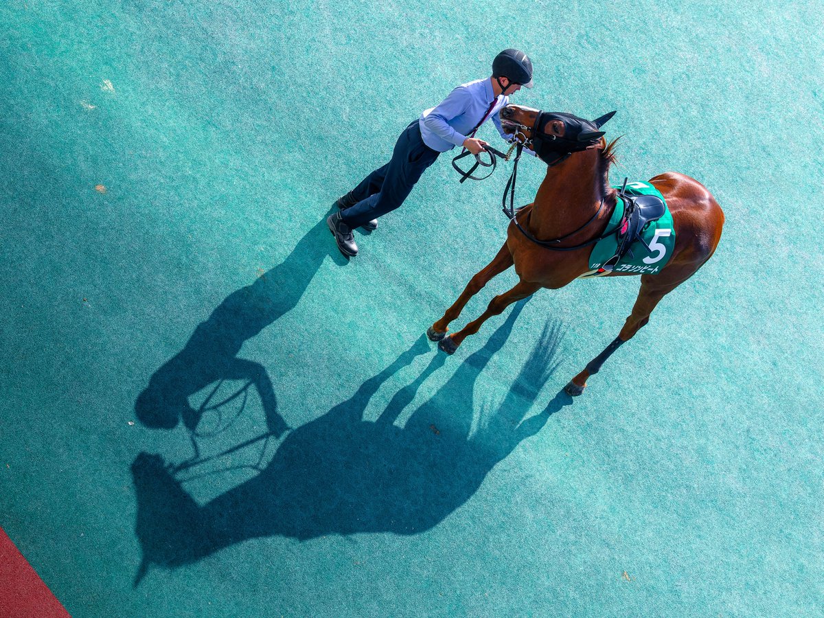 ごっち tweet media