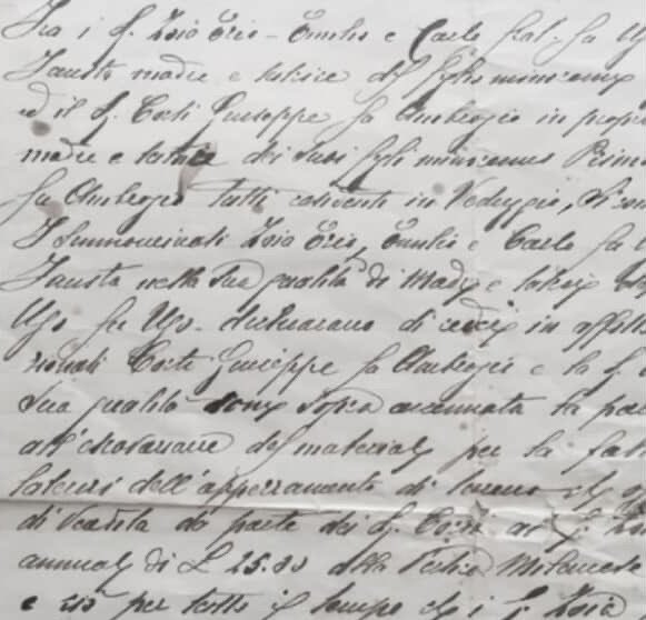 she is suffering tweet media