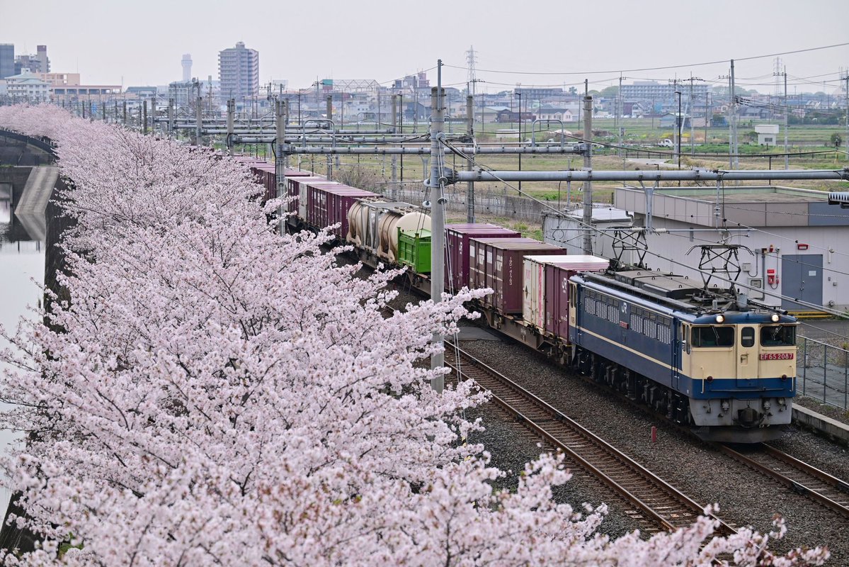 cassiopeia_ef510 tweet media