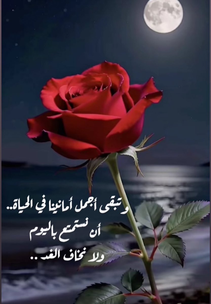 سحايب صيف tweet media