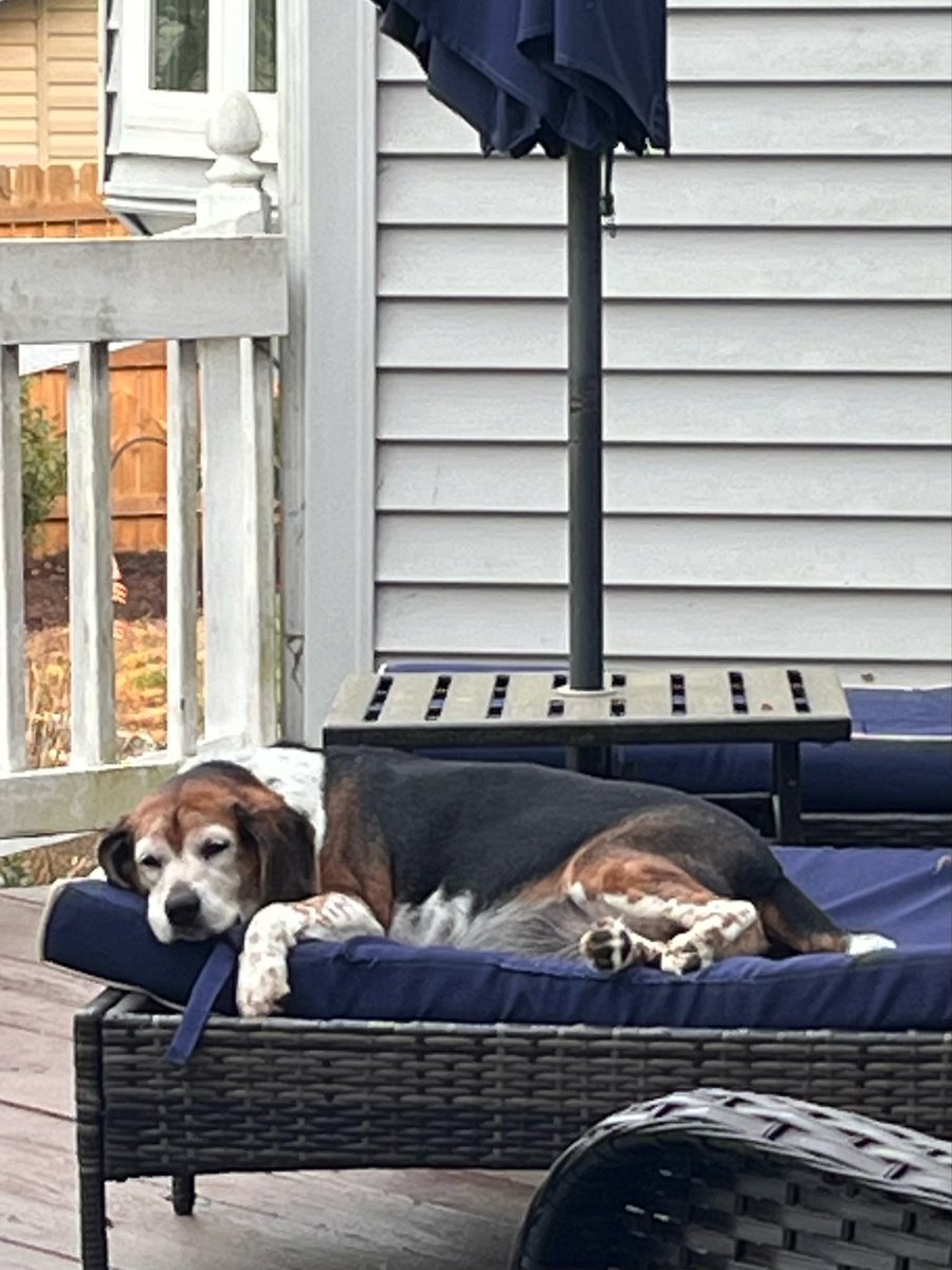 Martha Ledford tweet media