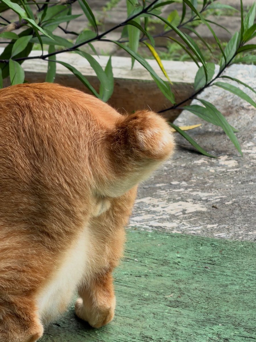 Simba Saekkiya tweet media