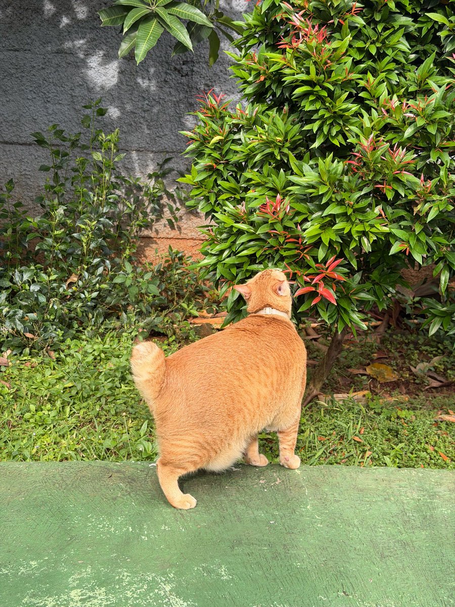 Simba Saekkiya tweet media