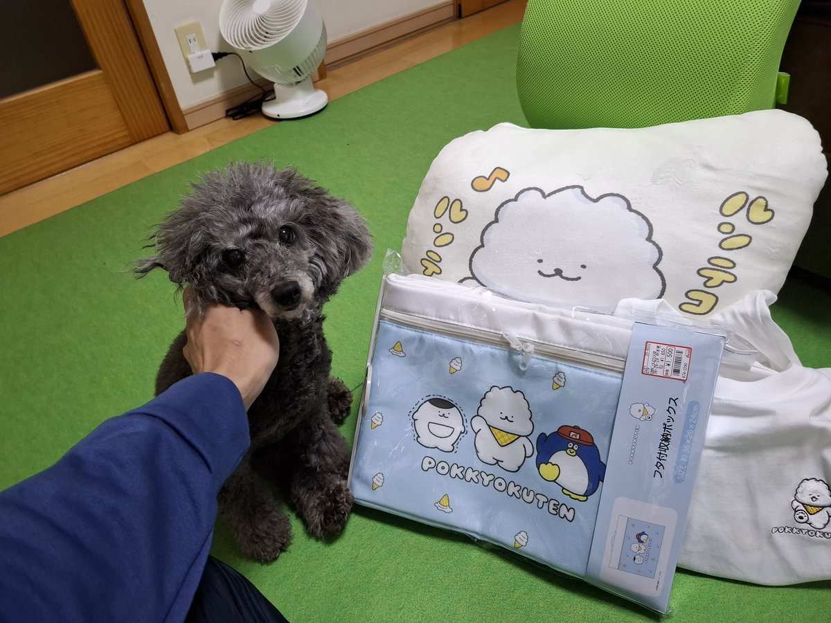 買えましたー！
身長185cmにLはちょっとちっちゃいかもだけど、明日着たいので買いました✌️
LLくらいは店舗に置いてくれていいのに...(オンラインで3L買おうかしら)