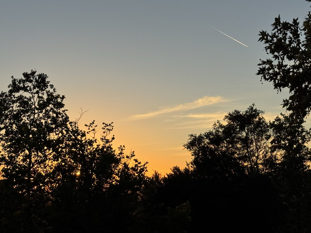 Art - Spreader of Kindness tweet media