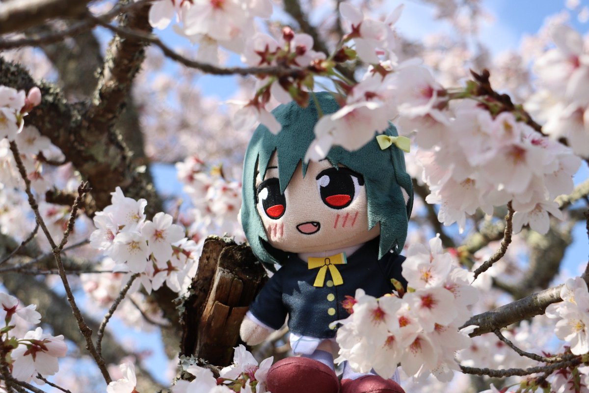 Mr_Baddonkey's tweet photo. #幸せそうなぬいの写真を見せてほしい https://t.co/Rh74lNRSwK