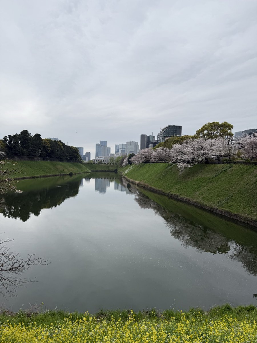 Carc-san tweet media