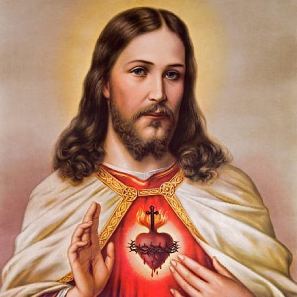 SPACE LIBERDADE tweet media