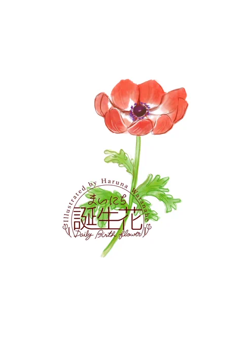 4月4日 アネモネ(赤) 花言葉 君を愛す #1日1絵 #まいにち誕生花