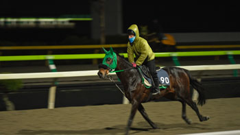 岩手競馬【IWATEKEIBA】 tweet media